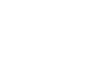 Ferro Mechanical